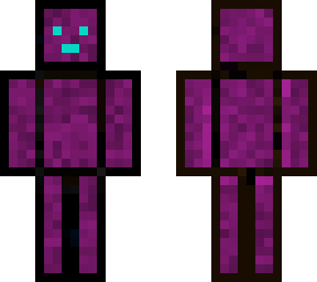 the portal man