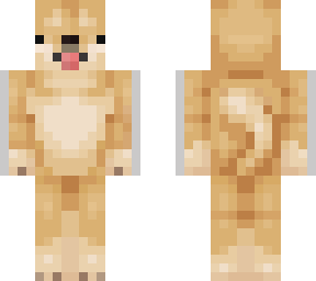 doge