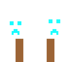 flag 1 sk1nhunter