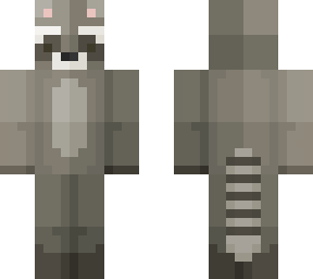 racoon