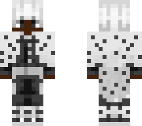 skin 1