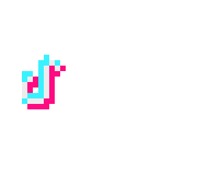 tiktok number 2