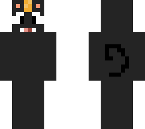 gray cat