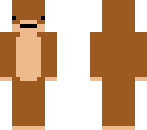 acacia monkey