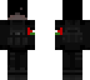 palestine army