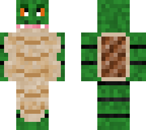terrence turtle
