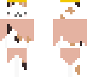 gatojesus