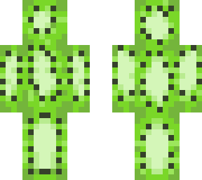 kiwi te
