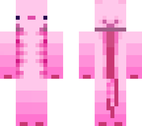 axolotl rosa