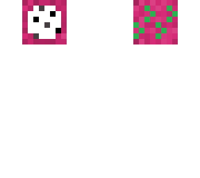 dragon fruit head
