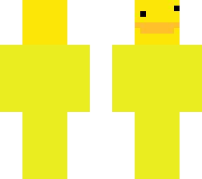 newer duck