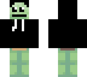 turtle with hoodie