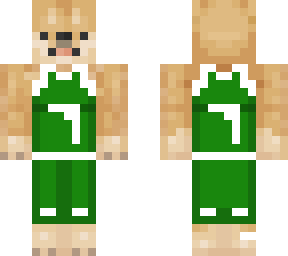 celtics dog