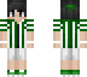 sapnap mcc skin || green guardians