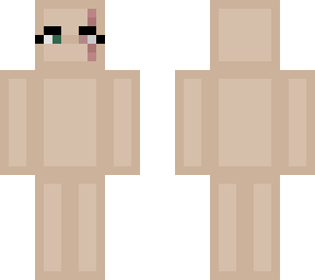 skin base