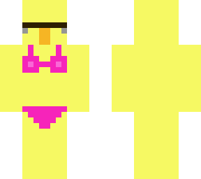 villager duck