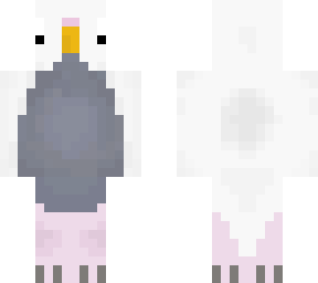 white budgie