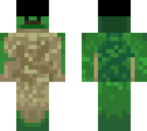 old turtle