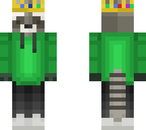 racoon 2