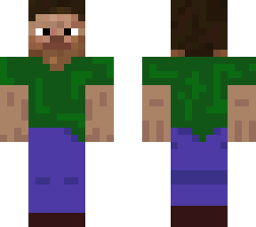steve gamer
