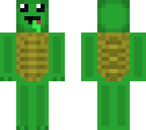 turtle / schildkrte