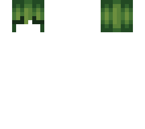 cactus // hb
