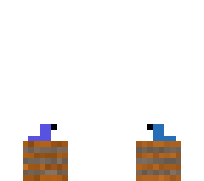 parrot barrel
