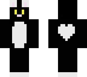 black and white cat