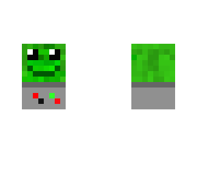 frog fly