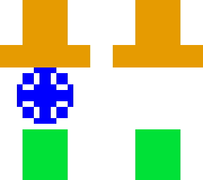 india flag