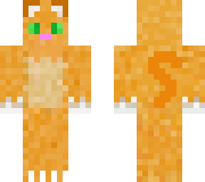 orange cat