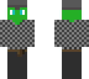 turtle knight