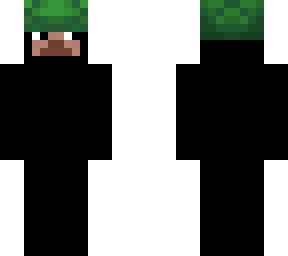 turtle shell steve