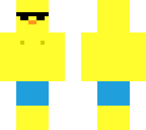 beach duck