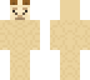 llama base