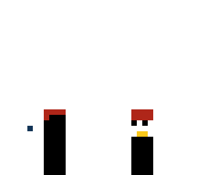 pinguin sock