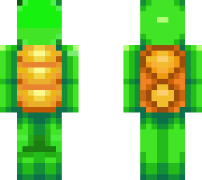 turtle