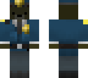 a bear cop