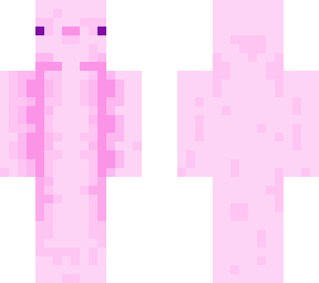 axelotl
