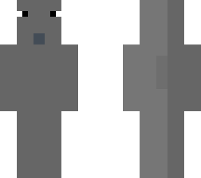 dolphin