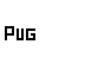 pug