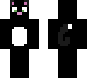 black and white cat
