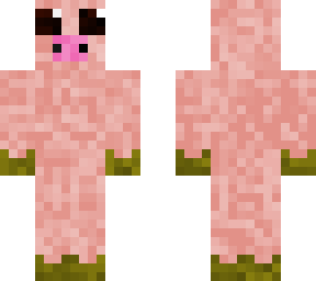 pig