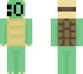 suprised face turtle