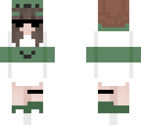 turtle v2