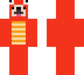 dragonninja