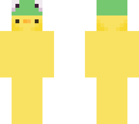 duck in a frog hat
