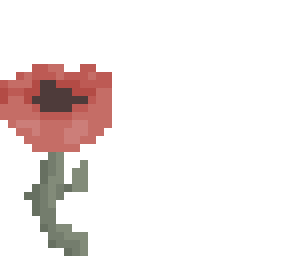 poppy
