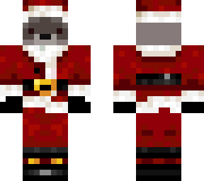 raccoon santa