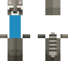 racoon in a docters outfit